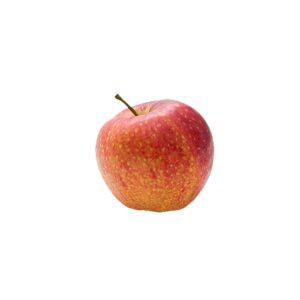 Apfel Holsteiner Cox regional