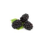 Brombeeren 125g