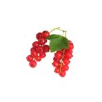 Johannisbeeren rot 125g