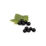 Johannisbeeren schwarz 250g Saisonaler Artikel