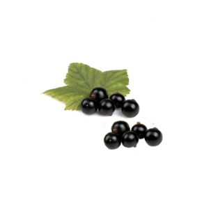 Johannisbeeren schwarz 250g