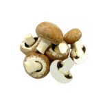 Pilze Champignons rose