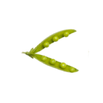 Erbsenschoten frisch 5kg