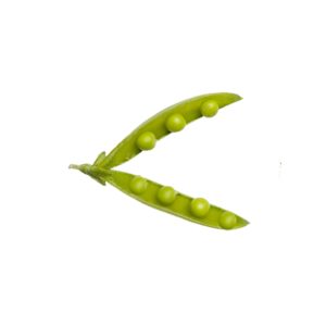 Erbsenschoten frisch 5kg