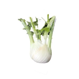 Fenchel Dts.