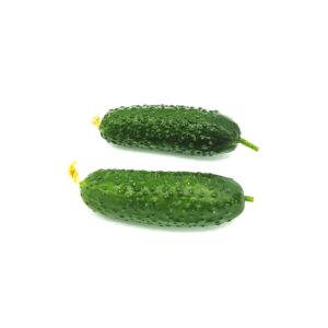 Gurke Snack-Gurke