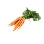 Karotten Bundmöhren