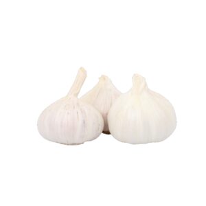Knoblauch Knolle