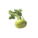 Kohlrabi Deutsch/Ital