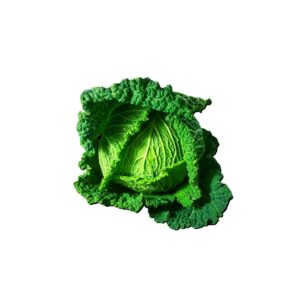 Kohl Wirsingkohl