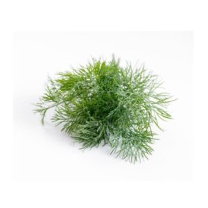 Dill 40g