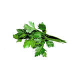 Petersilie glatt 5er