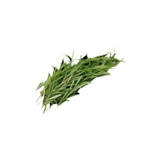 Rosmarin 100g