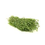 Thymian 100g