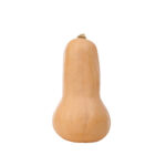 Kürbis Butternut Squash