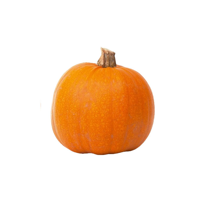 Kürbis Gelber Zentner regional Saisonaler Artikel – Bild 1