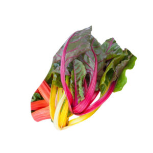 Mangold farbig
