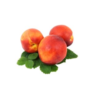 Nektarine A