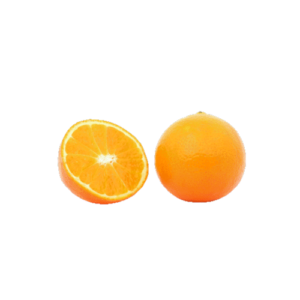 Orangen groß per Stück
