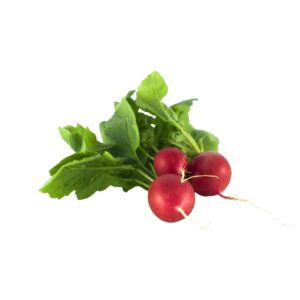 Radieschen