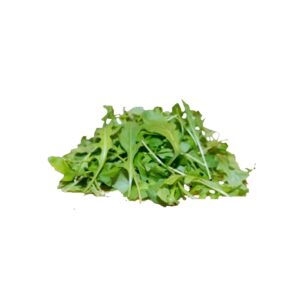 Salat Rauke