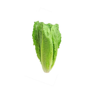 Salat Römerherzen 2er