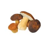 Pilze Steinpilze Frisch Saisonaler Artikel