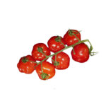 Tomaten Cherrystrauch Cherita