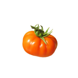 Tomaten Fleisch Spa./Holl.