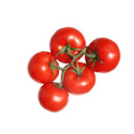 Tomaten Strauch Holl./ Spa.