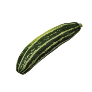 Zucchini