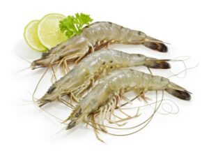 Scampi Black Tiger 8/12 mit Kopf mit Schale 1kg TK Ben`s