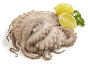 Oktopus Pulpo ganz TK