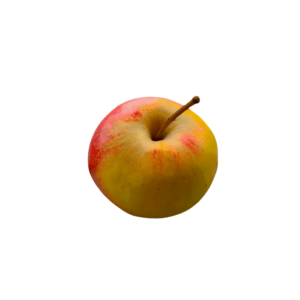 Apfel Elstar regional