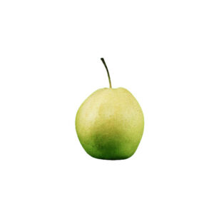 Birne Nashi