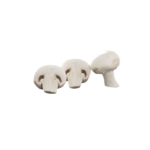 Pilze Champignons weiß