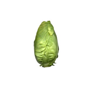 Kohl Spitzkohl per kg