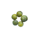 Pflaumen Reine Clauden Saison Artikel