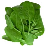 Salat Baby Spinat 250g gewaschen