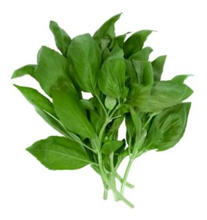 Basilikum 100g