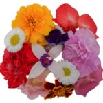 Blüten Mix 8 Schalen von Vugt