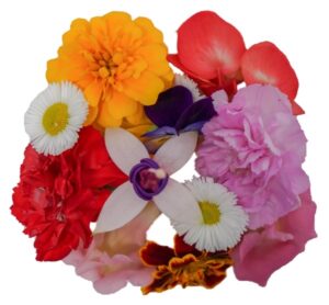 Blüten Mix 8 Schalen von Vugt