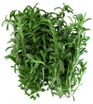 Bohnenkraut 40g