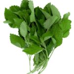 Zitronenmelisse 100g