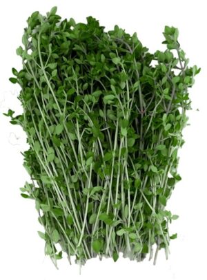 Zitronenthymian 40g
