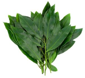 Lorbeer 40g
