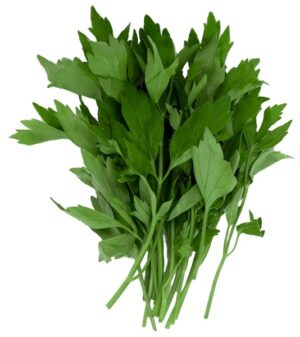 Liebstöckel 40g