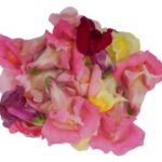 Blüten Löwenmäulchen 8 Schalen von Vugt