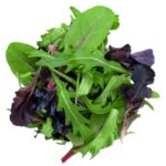 Salat Mesclune Mix 250g gewaschen