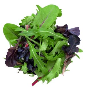Salat Mesclune Mix 250g gewaschen